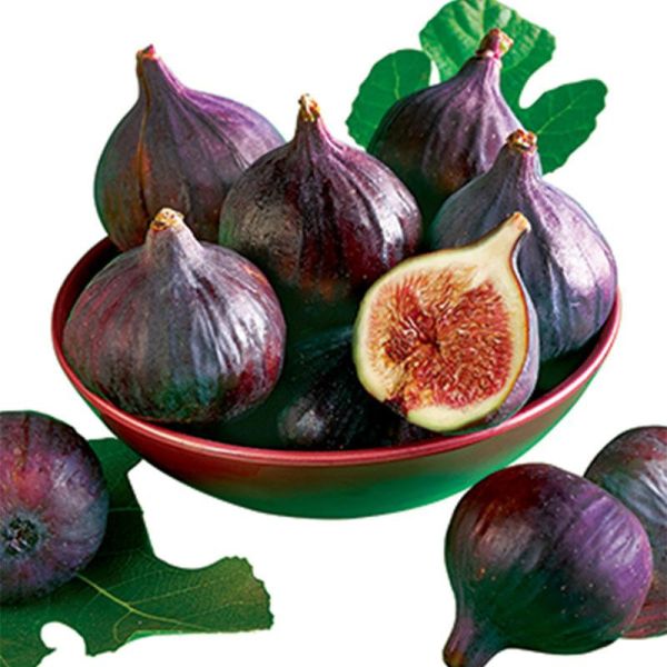 **預購** nectaflor無花果果乾夾鏈袋200g 