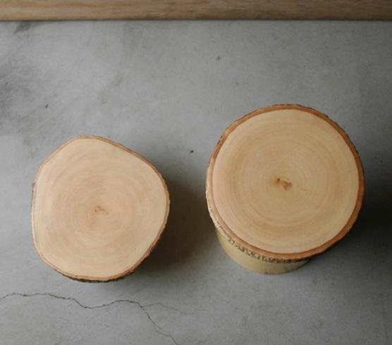 Stem 芒果木樹樁展示架 