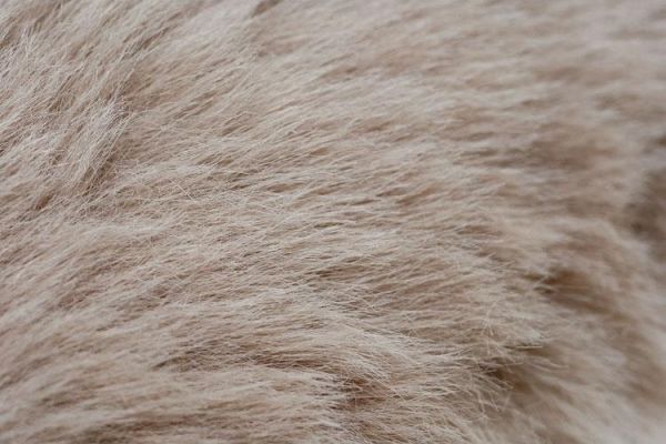 Cogit 毛絨柔軟保暖多用途耳罩 