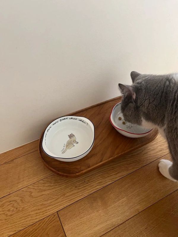 isabelle boinot × orneko貓咪陶瓷手柄深型圓碗 