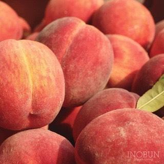 Santal & Beaute 茶香UV護手霜/淡香水(蜜桃) 