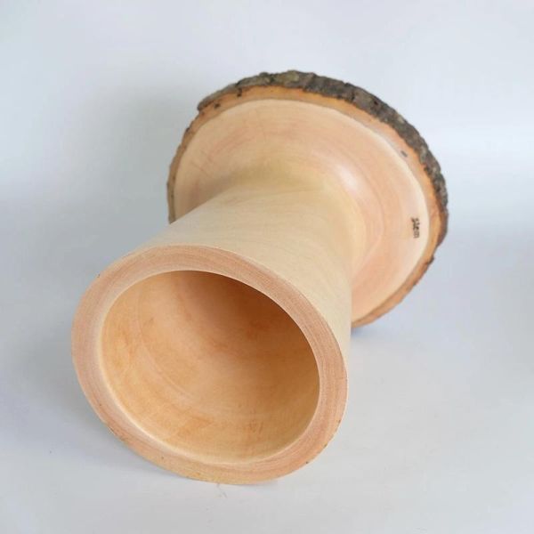 Stem 芒果木樹樁展示架 