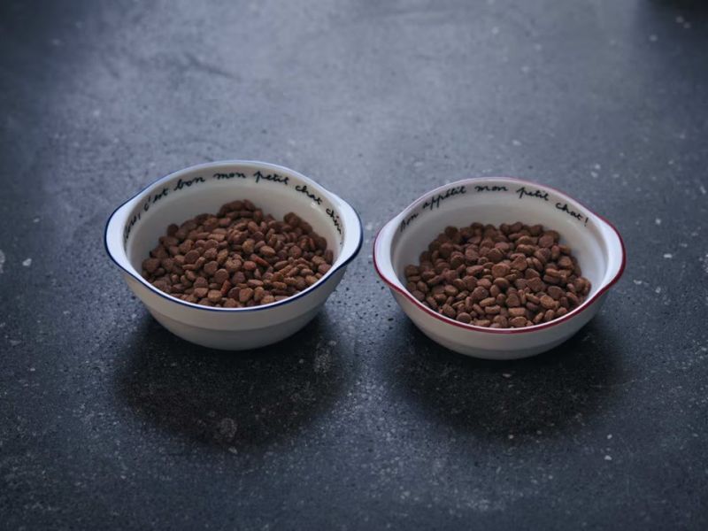 isabelle boinot × orneko貓咪陶瓷手柄深型圓碗 