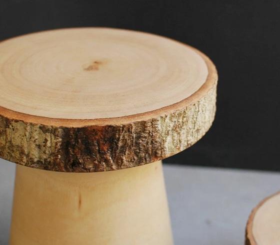 Stem 芒果木樹樁展示架 