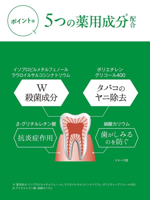 HAMIGAKIDO 藥用極緻清新淨氣牙膏(60g) 