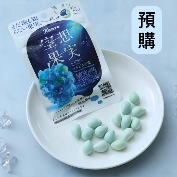 **預購**Kanro 空想果實酸甜軟糖 