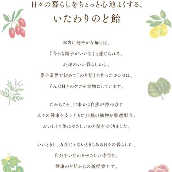 **預購** Kanro蜂蜜柚子茶喉糖 