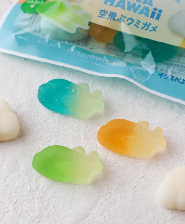 **預購** ANA 青組海龜機造型水果軟糖 