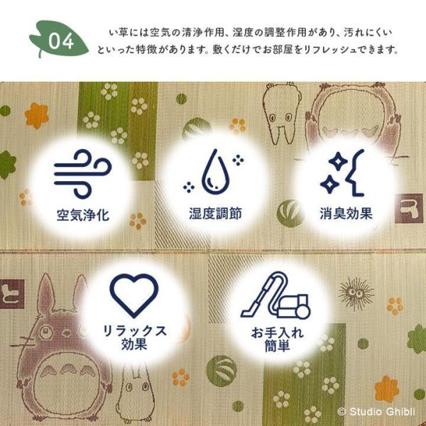 Ikehiko 龍貓涼爽藺草蓆地墊140x200cm 