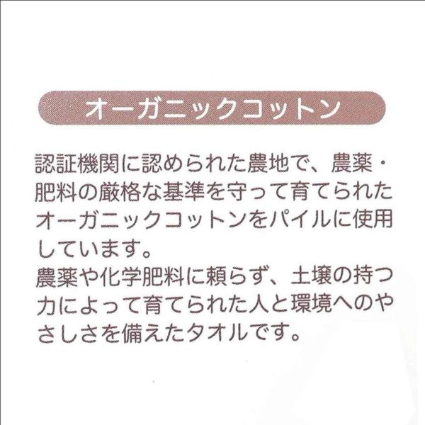 丸真 小熊學校花朵刺繡蝴蝶結手帕 