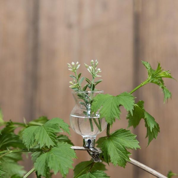 三種造型花瓶玻璃夾三入組 