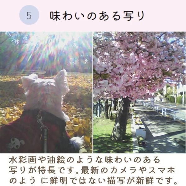 Kenko Tokina PieniM迷你玩具相機(黑) 