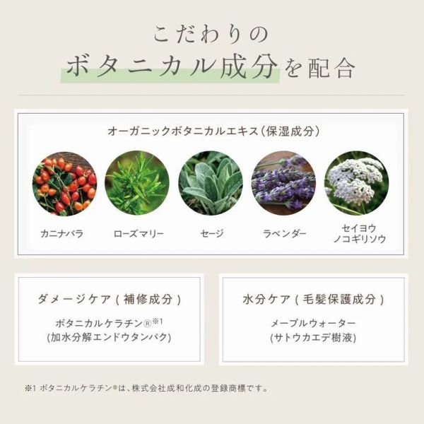 日本柳屋本店 Botanical 自然造型髮蠟 