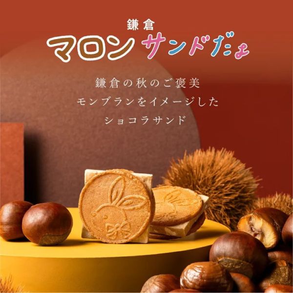 鎌倉五郎 厚切栗子巧克力夾心餅8入 