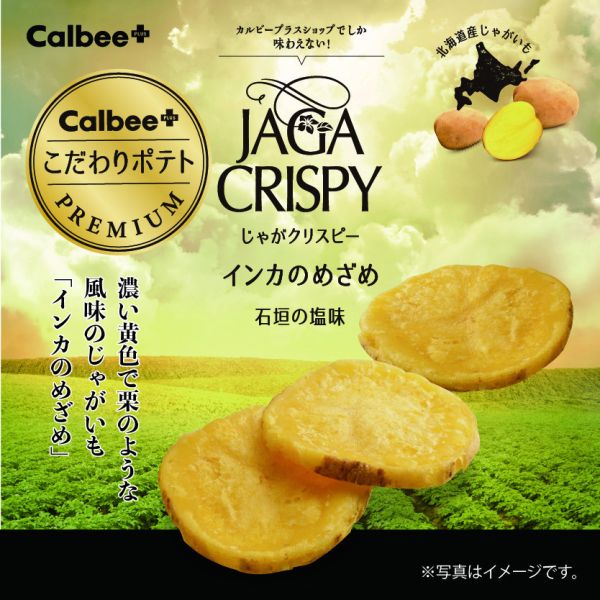 Calbee JAGA CRISPY 厚片洋芋片(石垣鹽味) 