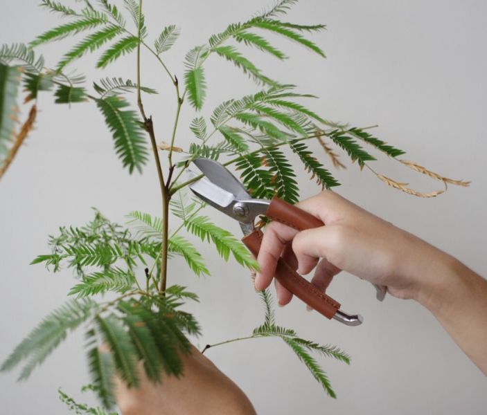 御花道皮革握把不鏽鋼鍛造花剪 