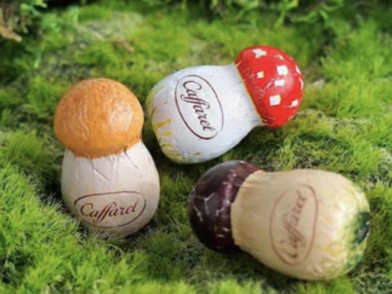 caffarel 蘑菇造型榛果巧克力玻璃罐 