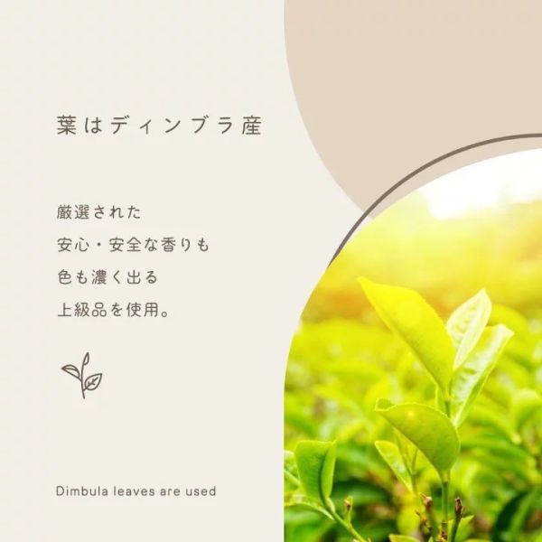 TEARTH 香甜蜂蜜紅茶包系列25入 
