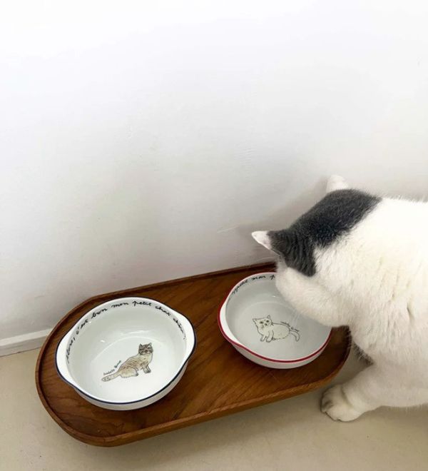 isabelle boinot × orneko貓咪陶瓷手柄深型圓碗 