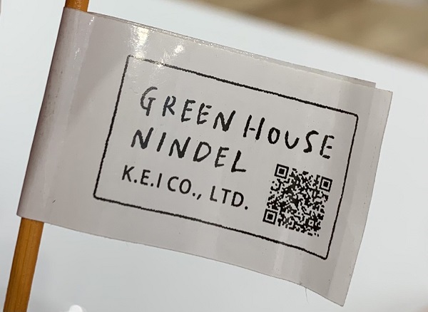 萬聖節南瓜 木製植栽裝飾 