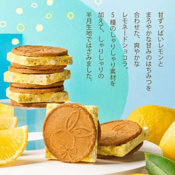 **預購** 鎌倉厚切檸檬巧克力夾心餅5/8入 