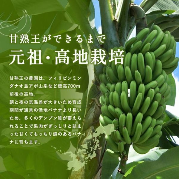 **預購** 正榮食品 甘熟王香蕉脆片 