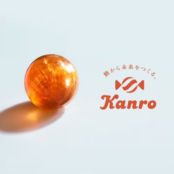 Kanro POCKET 10週年 甘露糖花朵圓紙盒 