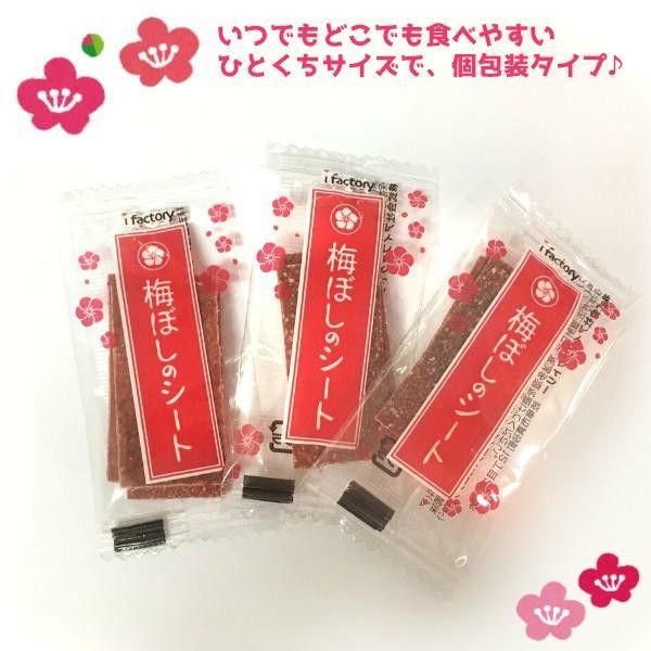 **預購**i factory 梅片14g 