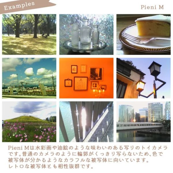 Kenko Tokina PieniM迷你玩具相機(黑) 