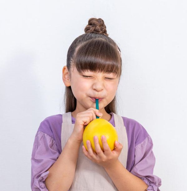 TAKARA DIY柚子榨汁器 