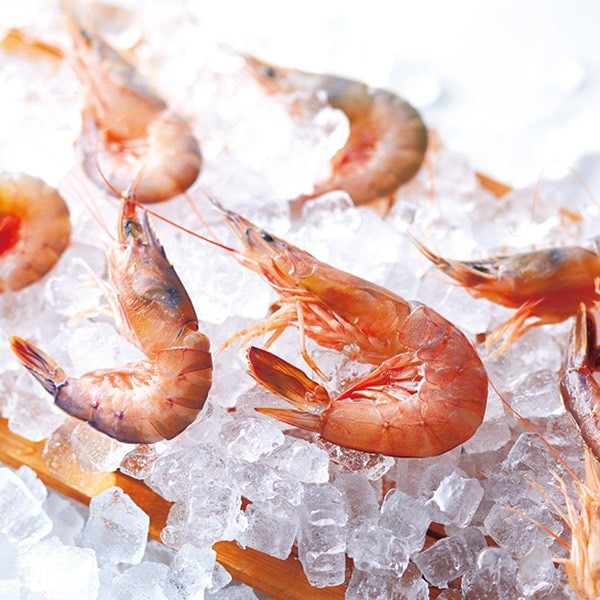 **預購** 坂角總本舖 干支午生肖限定蝦餅禮盒18入/24入 