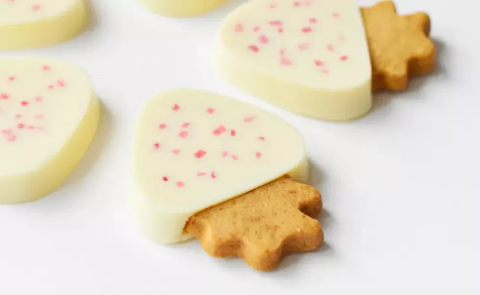 **預購** Audrey造型乾燥草莓牛奶巧克力餅乾5入 