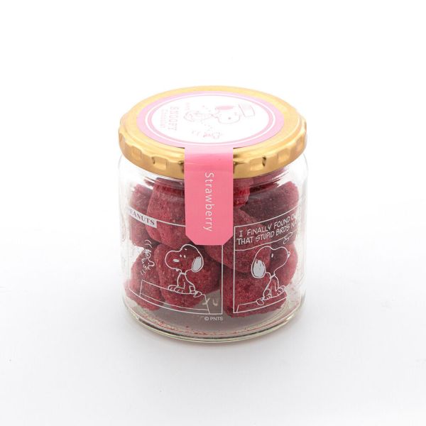 **預購** Snoopy Chocolat白巧克力草莓乾玻璃罐 