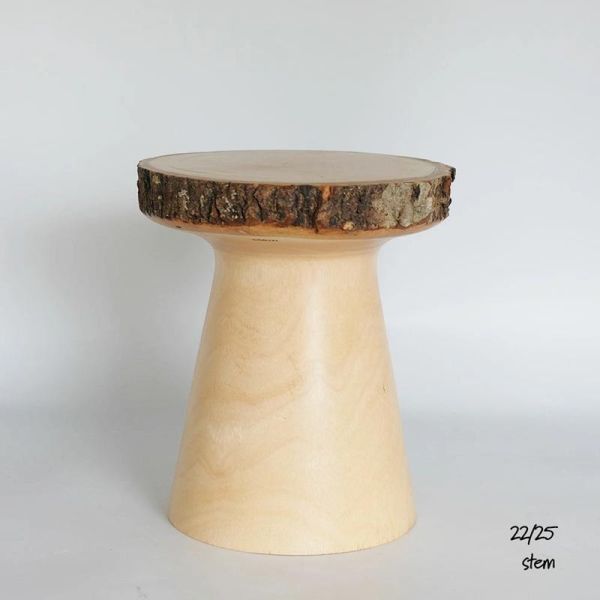 Stem 芒果木樹樁展示架 