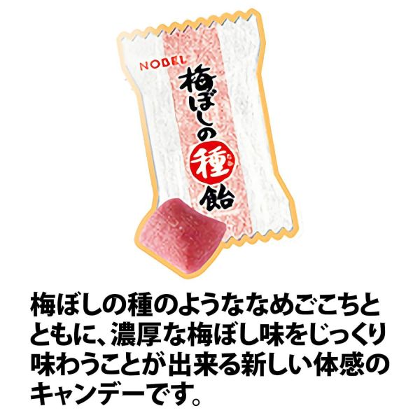 **預購**NOBEL男梅 濃厚話梅糖 