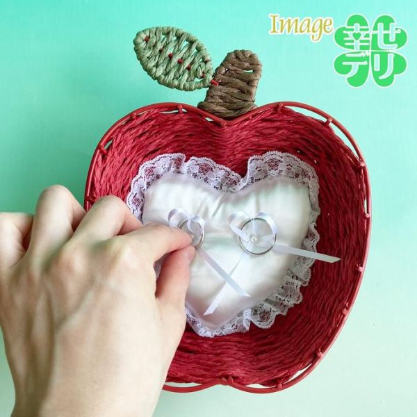 Chidori 蘋果造型紙編鐵網收納籃 