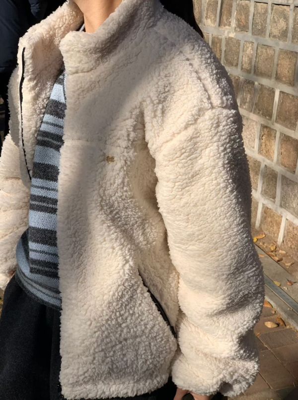 暖霧立領泰迪外套(2色) 