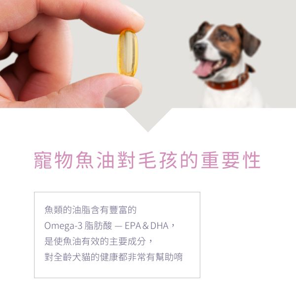 Dr. Pet｜寵物魚油 