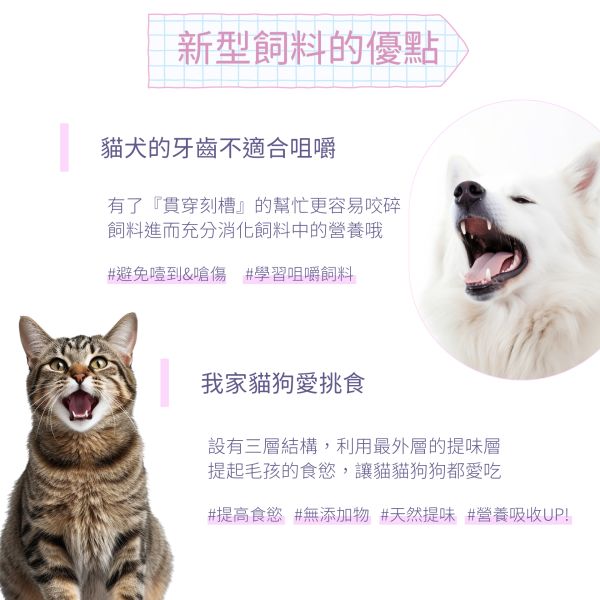 Dr. Pet｜酵素益生保健糧【貓】｜禮盒組 (4盒) 