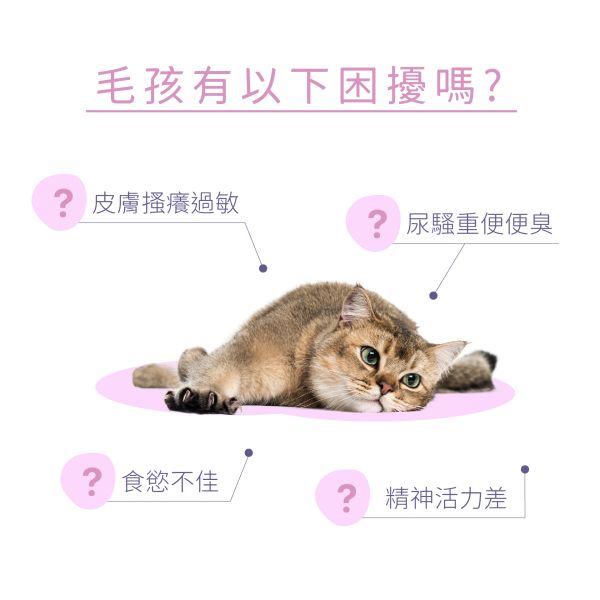 Dr. Pet｜酵素益生保健糧【貓】｜禮盒組 (4盒) 