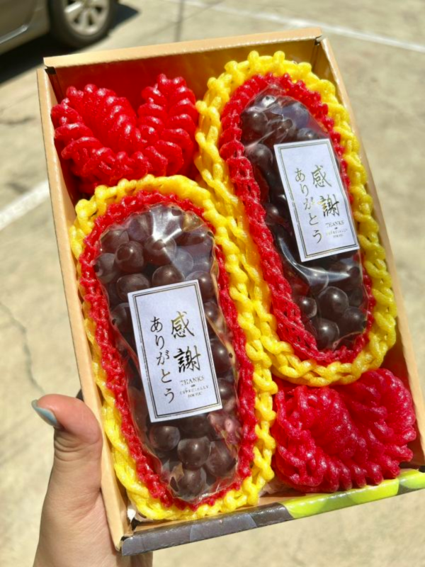<精緻禮盒>日本珍珠葡萄雙串禮盒 
