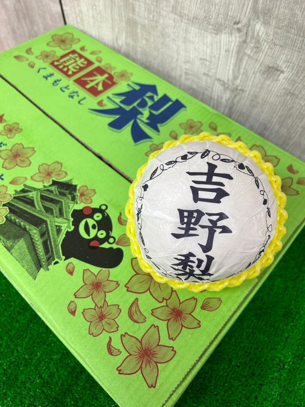 熊本吉野梨 