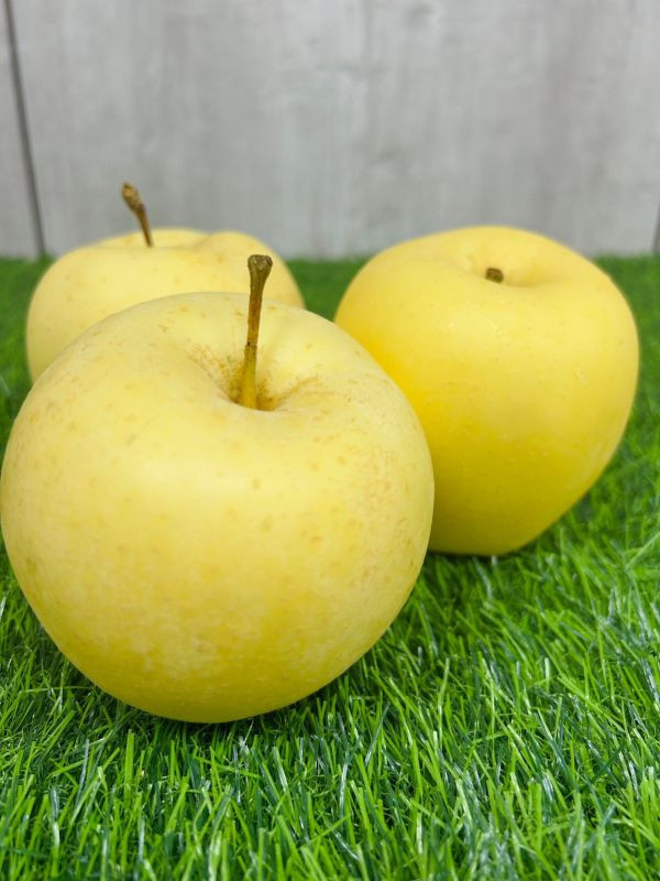 【26規】日本青森金星牛奶蘋果 