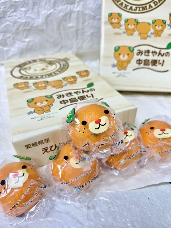 <當日配送>【限量特價】愛媛卡通蜜柑禮盒 