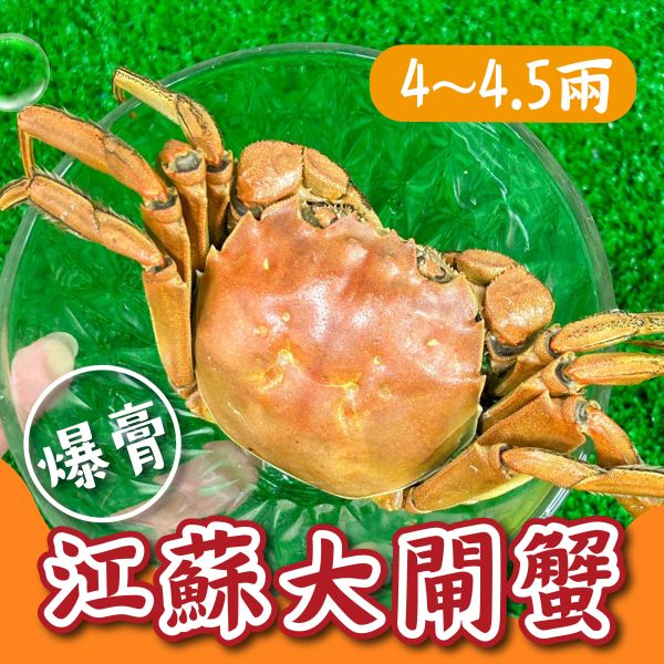 江蘇大閘蟹【4~4.5兩】(超值優惠) 