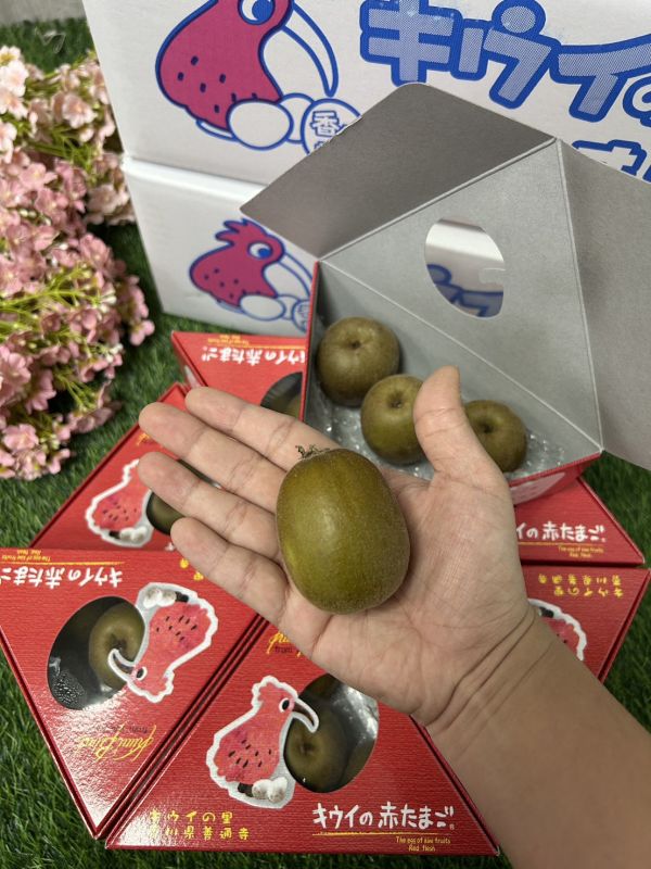 日本香川紅心奇異果 