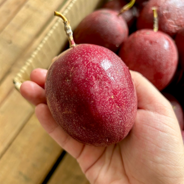 <少量零購>埔里吊網百香果 