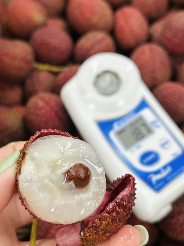 <少量零購>艷麗荔枝 