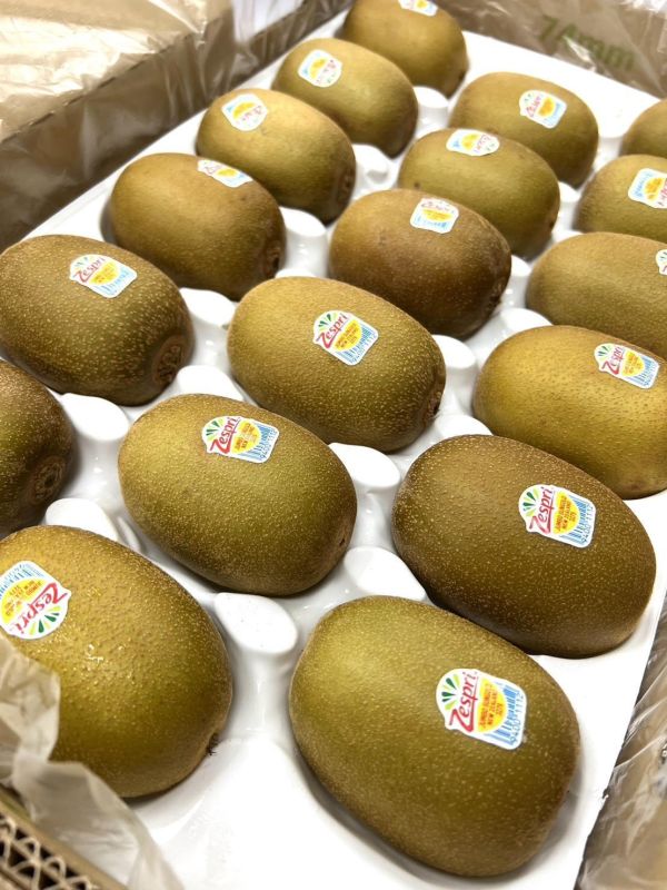 紐西蘭黃金奇異果22規原裝 