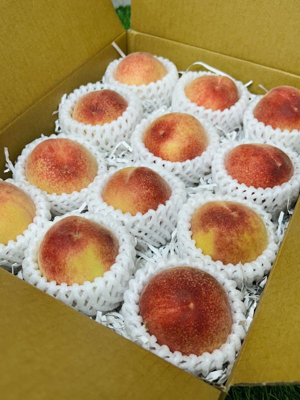 加州壽康水蜜桃 